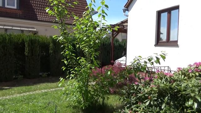 Дела житейские. Весна! 🏠 Cases of everyday life. Spring!