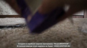 распаковка лошадей шляйх