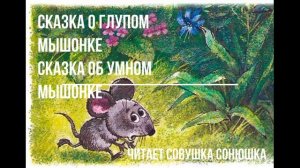 Сказка о глупом мышонке