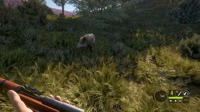 ОХОТА В ЗАКАЗНИКЕ КУАТРО КОЛИНАС theHunter Call of the Wild # 246 смотреть онлайн