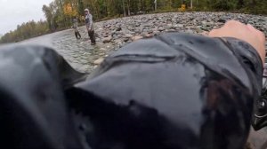 Отпустил 5 лососей! Рыбалка в Канаде! Какие правила и как ловить! Ловлю рыбу ради красной икры