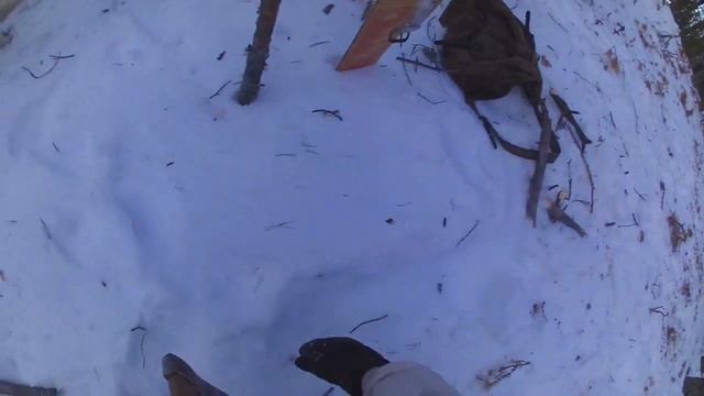 В поисках соболя смотреть онлайн