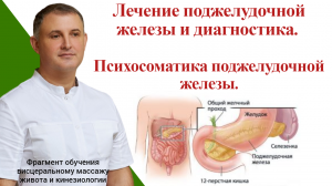 Лечение поджелудочной железы и диагностика. Психосоматика поджелудочной железы