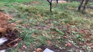 Моя теплица. Часть 1. Подготовка места под теплицу и ее установка.