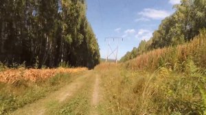 Дорога между Тарасково и Мурзинкой