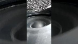 Бас динамика