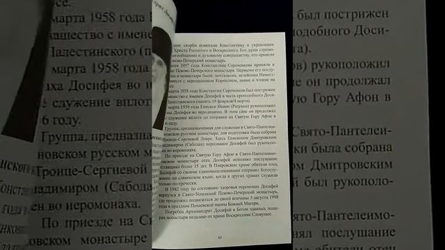 Книга Пресвятая Богородица спаси нас