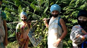 ✓35Почему мнение Иисуса Навина и Халева отличалось от мнения других разведчиков и чему это учит нас