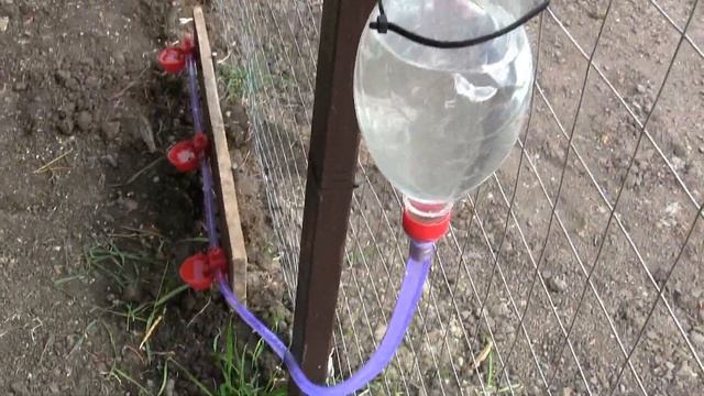 автоматическая раздача корма и воды курам смотреть онлайн