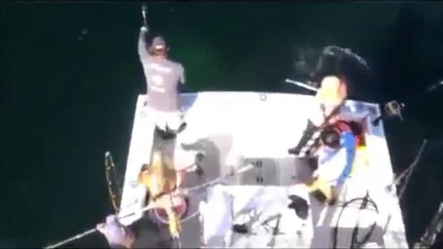 Огромный тунец! Giant Tuna
