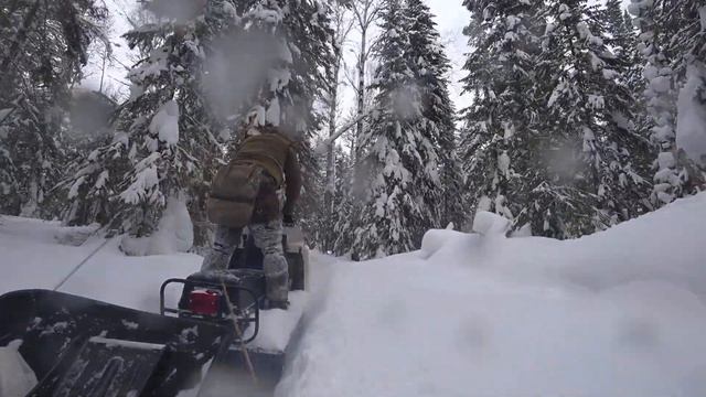 Капканы на соболя. Обкатка СТЕЛС МОРОЗ смотреть онлайн