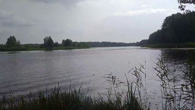 #пикник #влог Пикник по цветам с подругами на природе смотреть онлайн