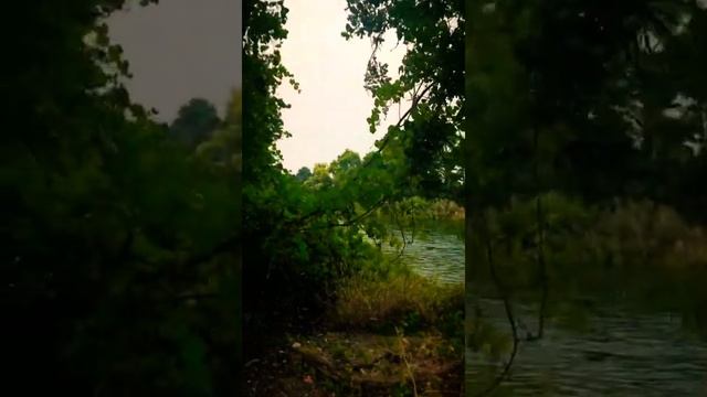 Дикая природа Северной Америки! 2018 смотреть онлайн