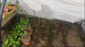 УТЕПЛЯЕМ ТЕПЛИЦУ!