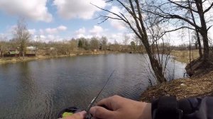 Zetrix Ambition - X  9-33 г. и Piscifun THUNDER - Собрал не дорогой джиговый комплект