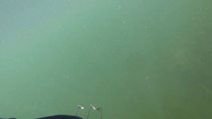 Подводная охота в Смоленской области