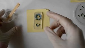 Как сделать украшения из эпоксидной смолы  в самодельных формах из силикона