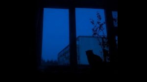 Limp Bizkit - Behind Blue Eyes | sped up