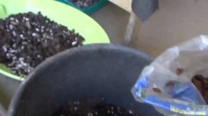 СУБСТРАТ ДЛЯ ХОЙ.. ПОЛИВ.. УХОД