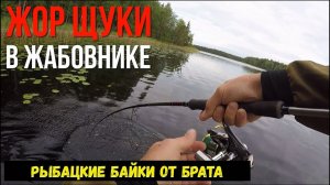 Неогруженный силикон решает | Жор Щуки в ЖАБОВНИКЕ | Рыбалка на спиннинг и самоловки | Часть 2