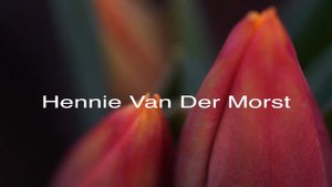Leen Van Der Mark, Lech Walesa, Hennie Van Der Morst Tulips