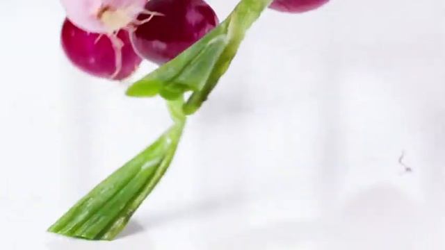 Терка мандолина Tupperware-spb.ru смотреть онлайн