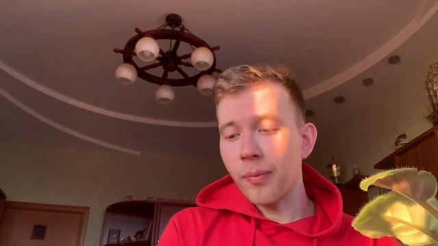 #ВкусноОбзор ? вафельный #снимало ? Вафлолюб? Премиум-качество смотреть онлайн