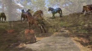 Лошади в естественной природе | Красивые лошади в сочных пейзажах со звуками природы