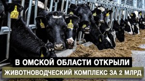 В Омской области открыли животноводческий комплекс за 2 млрд