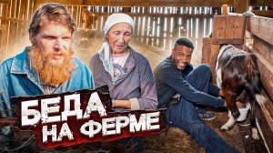 МОШЕННИКИ ОБОКРАЛИ КРЕСТЬЯНСКУЮ ФЕРМУ! ПРИВЕЗЛИ ЯНА НА ПОМОЩЬ