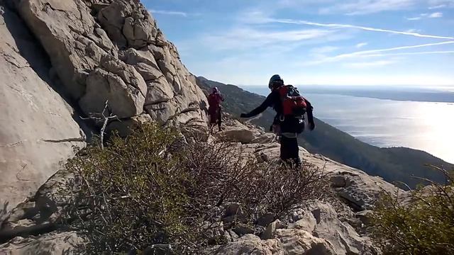 The Wind That Shakes the Barley смотреть онлайн