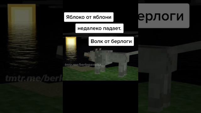 цитата ?