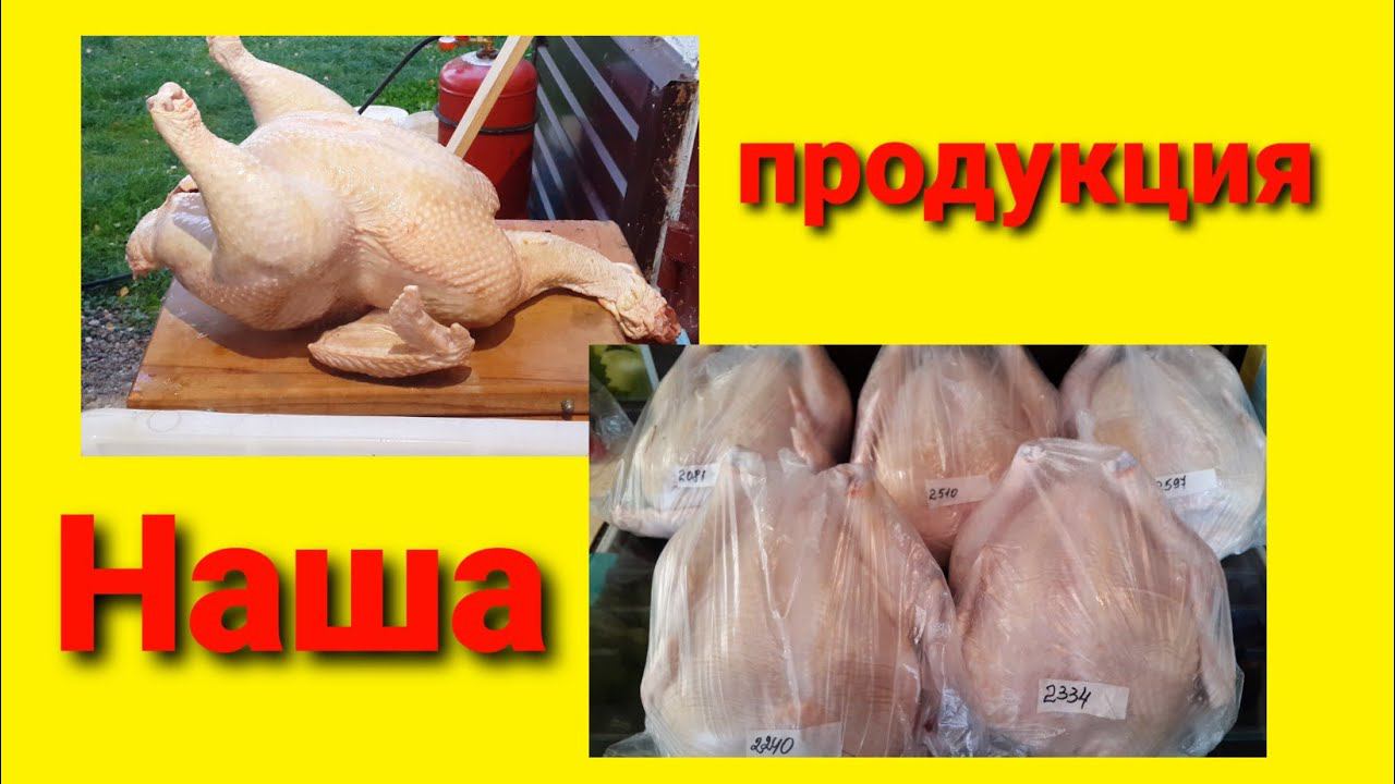 Наша продукция. Видео - знакомство с хозяйством.