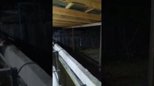 Сарай для быков!!!