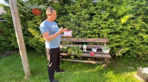 Три лучших удобрения для обильного цветения петунии