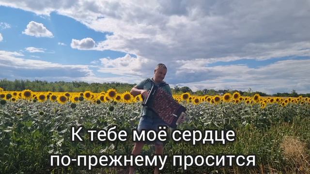 Деревня моя. Караоке под гармонь.