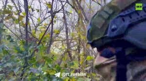 Бои на Купянском направлении: Минометчики накрывают боевиков в лесополосе