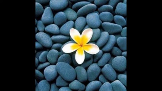 TROMBONE VESPER: RAY STEADMAN-ALLEN смотреть онлайн