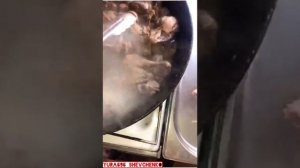 Готовим Лысуху