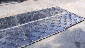 Лента ПХ-74.000, полотно подборщика ПП-3 Нива, Енисей с пластмассовыми пальцами 2,94 м, Омск