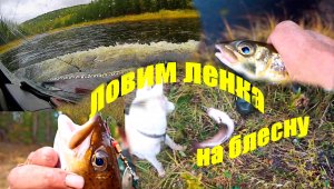 Ловим ленка в мутной воде.После длительных дождей прорвались до реки .Спиннинг и блесна ...