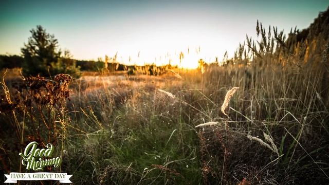 GOOD MORNING MUSIC -  Boost Positive Energy  Peaceful Morning Meditation Music For Waking Up Rela