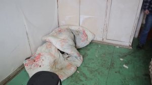 Непер договорился, чтоб не отключали свет! Лунтику прислали коробку вещей!