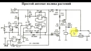 sxematube - простая схема автомата полива растений, автоматический полив растений