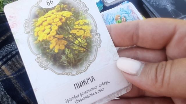 Прогноз на Грушинский фестиваль 2023 года. Открытая Школа Апраксиной Лады смотреть онлайн