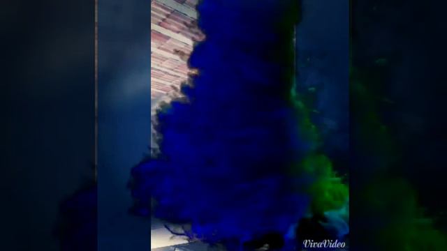 Nuno Gomes смотреть онлайн