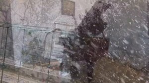 Ф.Лист. Юношеский этюд b-moll ("Метель"), исполняет Анжела Липинская