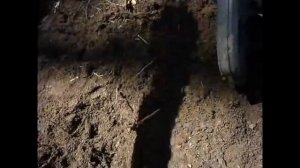 Неудачный опыт с Минелаб Е-Трак / My sad experience with Minelab E Trac