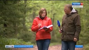 Новый природный парк появился возле поселка Токсово