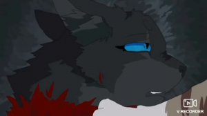 ( коты воители ) клип день ночь руки прочь